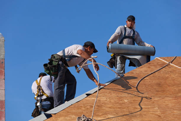 Best Roof Maintenance Services  in New Hope, AL
